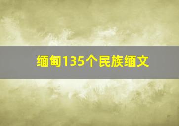 缅甸135个民族缅文