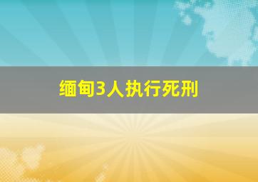 缅甸3人执行死刑