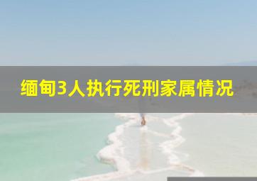 缅甸3人执行死刑家属情况