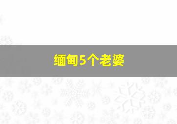 缅甸5个老婆