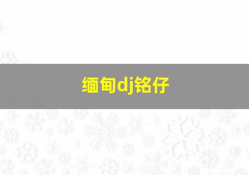 缅甸dj铭仔