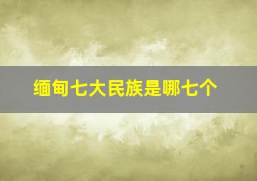 缅甸七大民族是哪七个