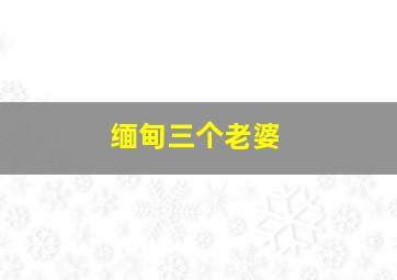 缅甸三个老婆