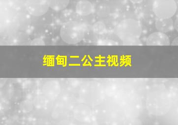 缅甸二公主视频