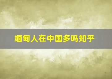 缅甸人在中国多吗知乎