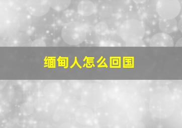 缅甸人怎么回国