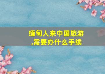 缅甸人来中国旅游,需要办什么手续