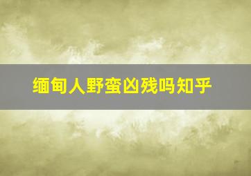 缅甸人野蛮凶残吗知乎