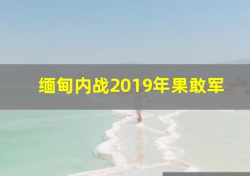 缅甸内战2019年果敢军