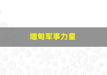 缅甸军事力量