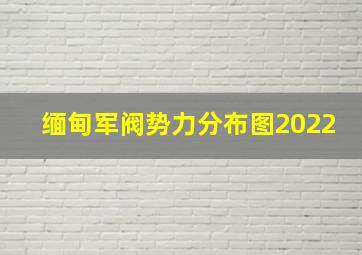 缅甸军阀势力分布图2022