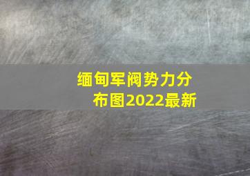 缅甸军阀势力分布图2022最新