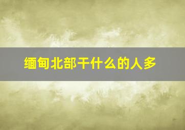 缅甸北部干什么的人多