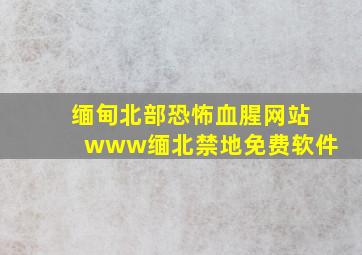 缅甸北部恐怖血腥网站www缅北禁地免费软件