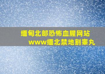 缅甸北部恐怖血腥网站www缅北禁地割睾丸