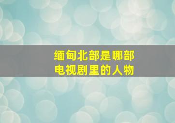 缅甸北部是哪部电视剧里的人物