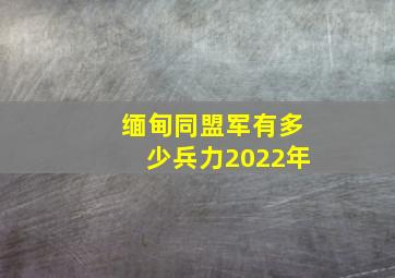 缅甸同盟军有多少兵力2022年