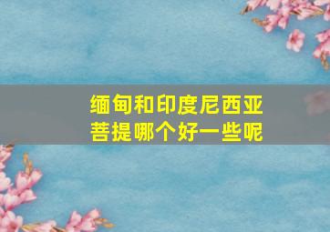 缅甸和印度尼西亚菩提哪个好一些呢