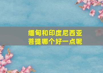 缅甸和印度尼西亚菩提哪个好一点呢