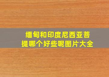 缅甸和印度尼西亚菩提哪个好些呢图片大全