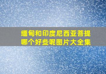 缅甸和印度尼西亚菩提哪个好些呢图片大全集