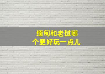 缅甸和老挝哪个更好玩一点儿