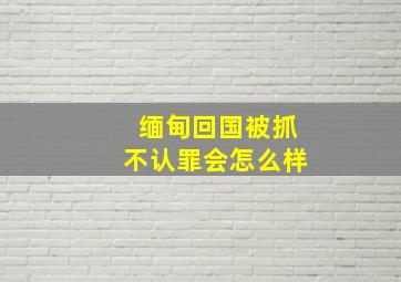 缅甸回国被抓不认罪会怎么样