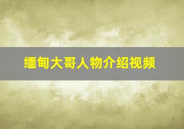 缅甸大哥人物介绍视频