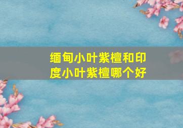 缅甸小叶紫檀和印度小叶紫檀哪个好