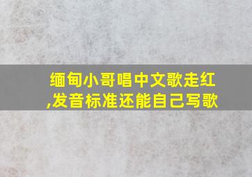 缅甸小哥唱中文歌走红,发音标准还能自己写歌