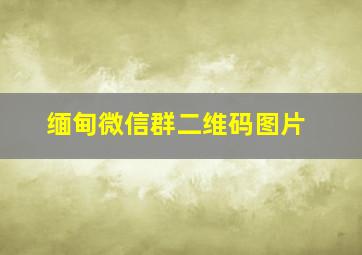 缅甸微信群二维码图片