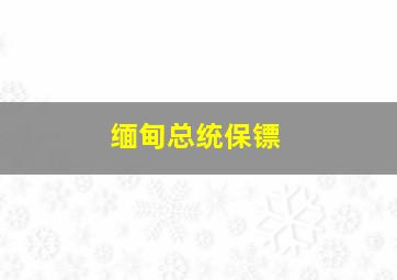 缅甸总统保镖