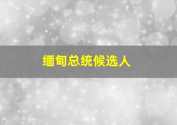 缅甸总统候选人