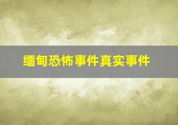 缅甸恐怖事件真实事件