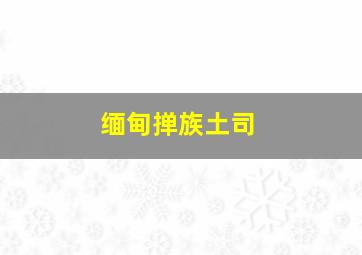 缅甸掸族土司