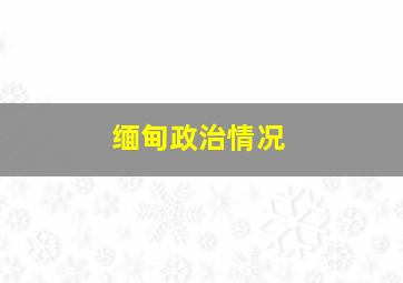 缅甸政治情况