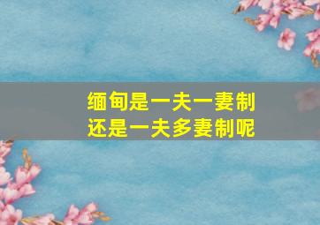 缅甸是一夫一妻制还是一夫多妻制呢