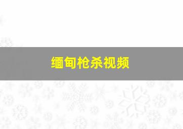 缅甸枪杀视频