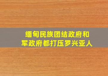 缅甸民族团结政府和军政府都打压罗兴亚人