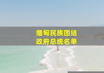 缅甸民族团结政府总统名单