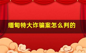 缅甸特大诈骗案怎么判的