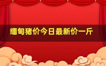 缅甸猪价今日最新价一斤