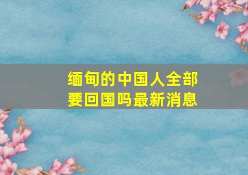 缅甸的中国人全部要回国吗最新消息