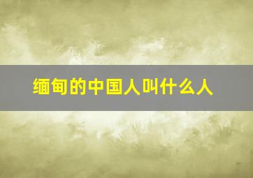 缅甸的中国人叫什么人