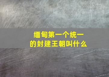 缅甸第一个统一的封建王朝叫什么