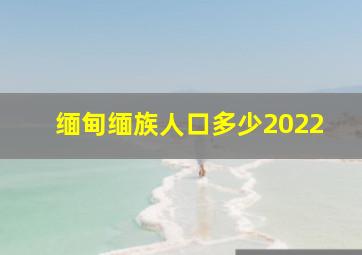 缅甸缅族人口多少2022