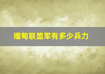 缅甸联盟军有多少兵力