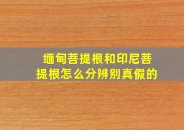 缅甸菩提根和印尼菩提根怎么分辨别真假的