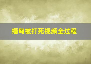 缅甸被打死视频全过程