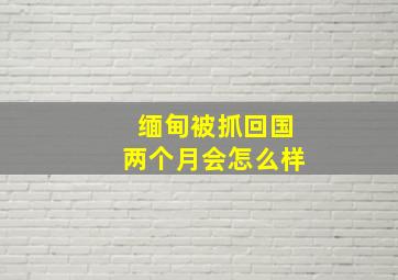 缅甸被抓回国两个月会怎么样